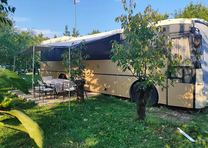 Terrebiobus